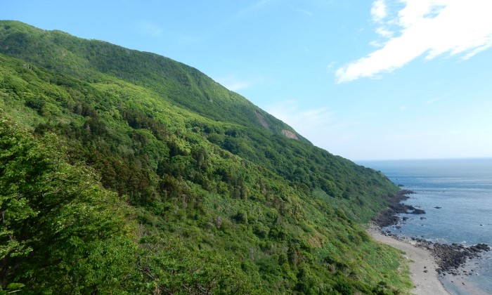 男鹿半島海岸植生生物群集保護林