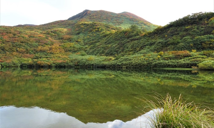 焼石岳