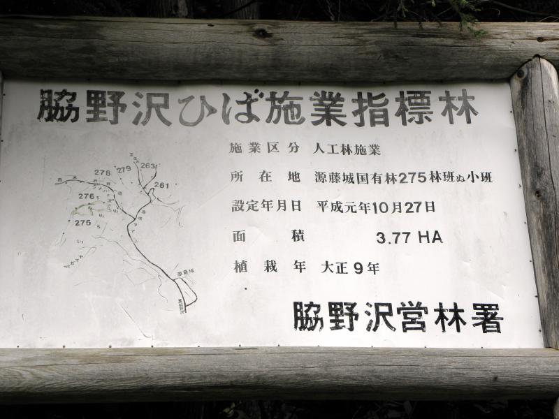 源藤城ヒバ人工林施業指標林（975ぬ）