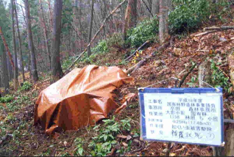 被害木の燻蒸処理