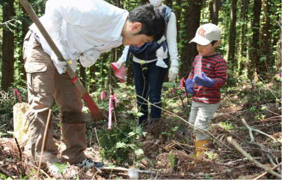 「ふれあいの森」での活動