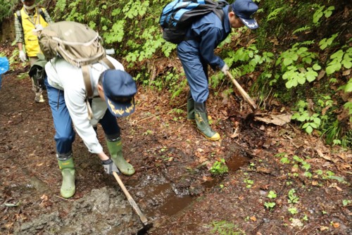 遊歩道の清掃登山