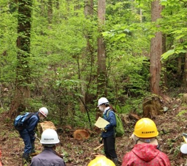 植樹方法の説明・指導