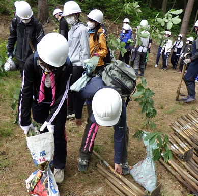 苗木や植樹道具を運ぶ参加者2