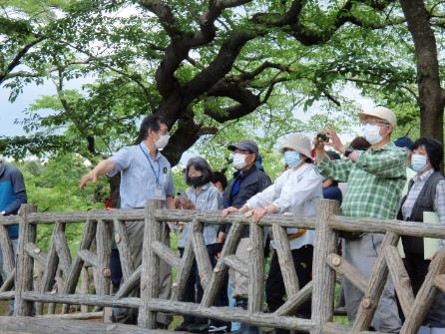 橋から森林鉄道の跡地を見学