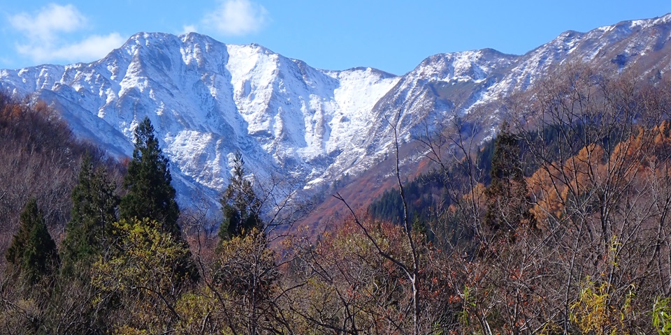 新雪をまとった障子ヶ岳
