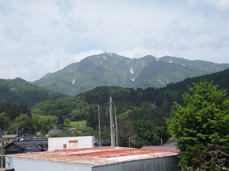 湯ノ沢岳も新緑の季節を迎えました。
