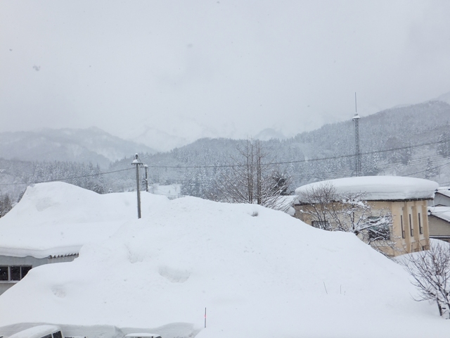 湯ノ沢岳250212