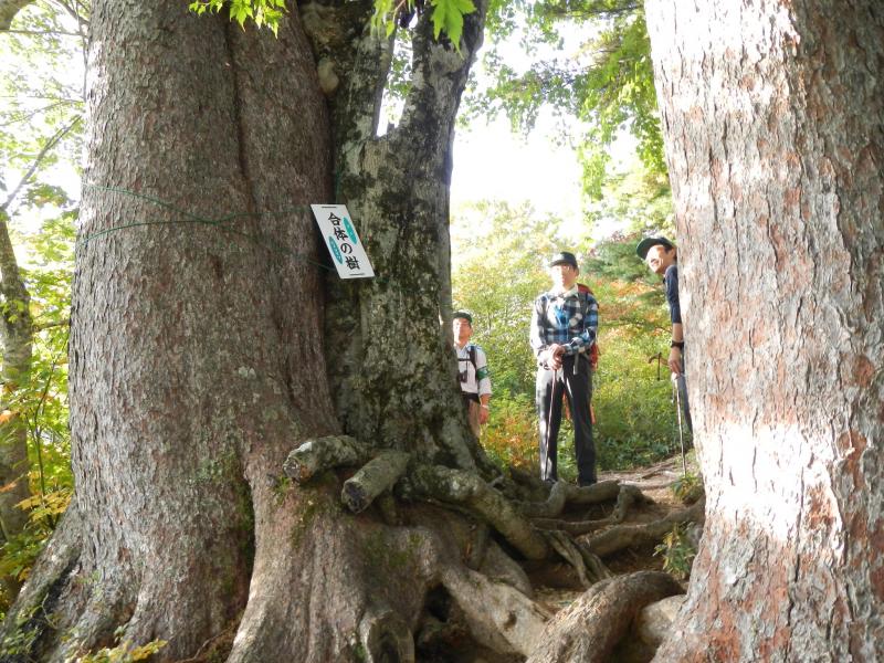 朝日山地のパトロール写真