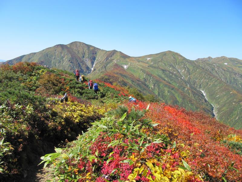 朝日山地のパトロール写真