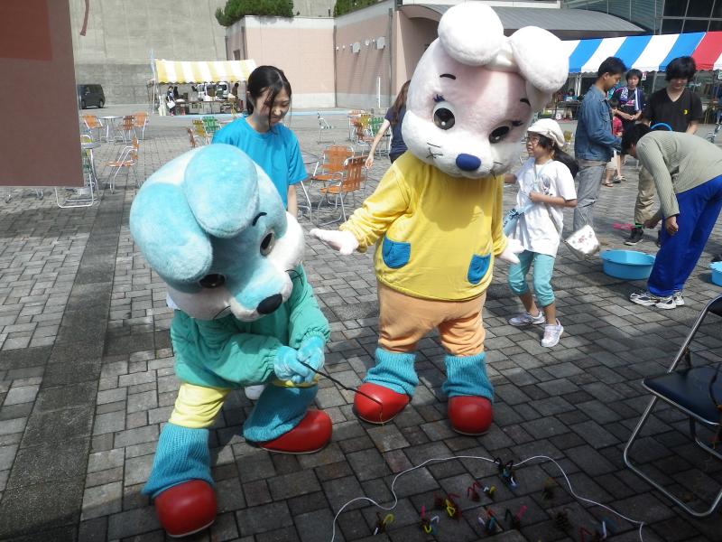 朝日山地のパトロール写真