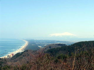 庄内海岸林遠望