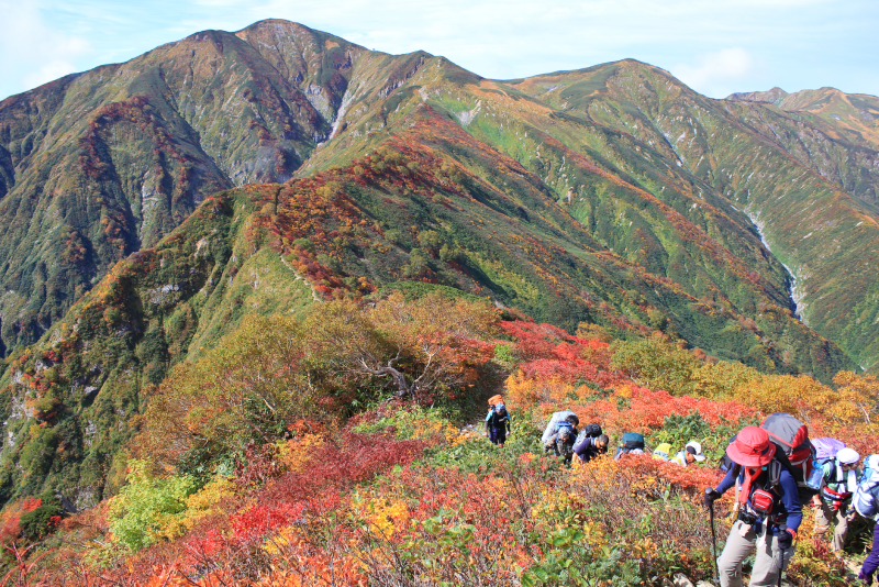 朝日庄内森林生態系保全センター