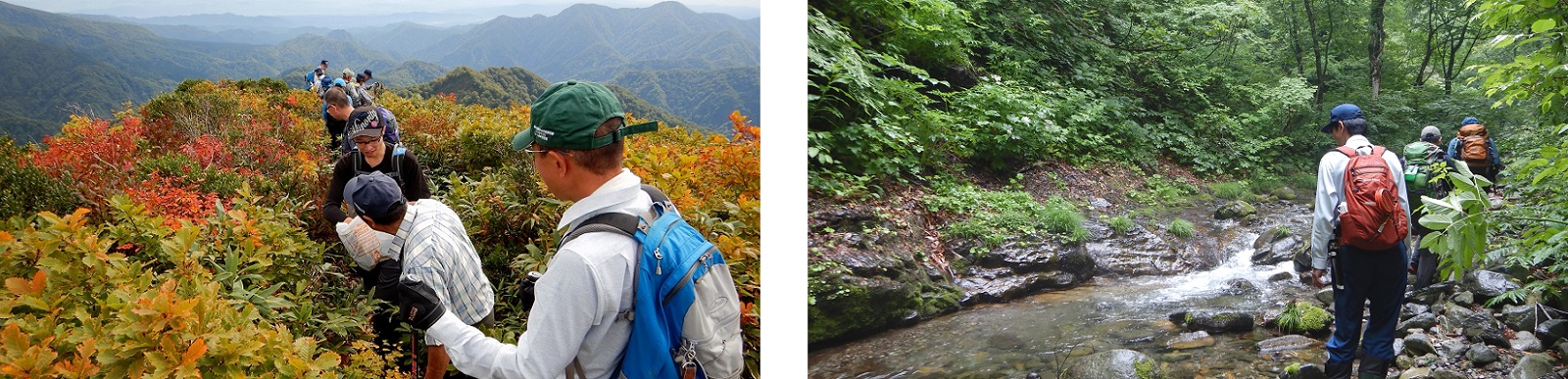 左：合同パトロールの様子（小岳のロープを回収中）、右：核心部沢沿いを巡視中