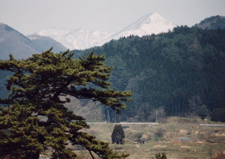 青秋林道入り口からの真瀬岳
