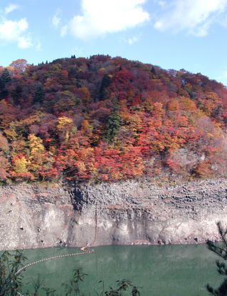 素波里ダム風景林