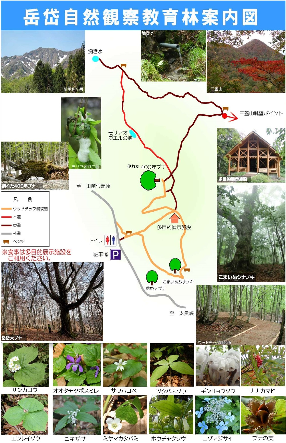 岳岱案内図