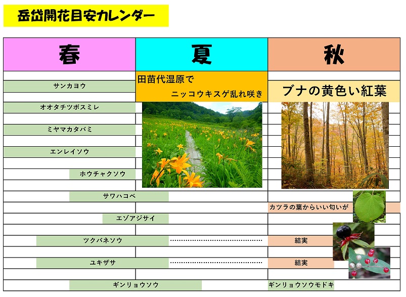 岳岱開花目安カレンダー