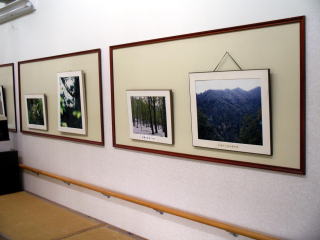 写真パネル展示の様子2