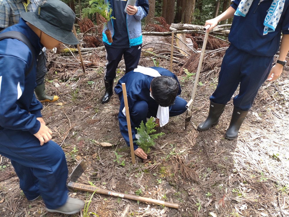 植樹体験