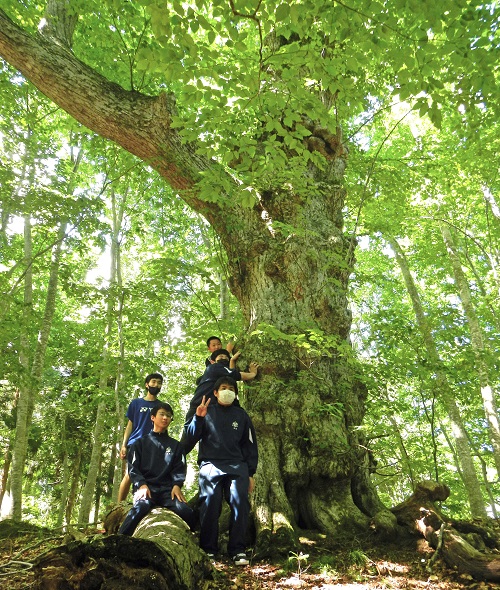 岳岱自然観察