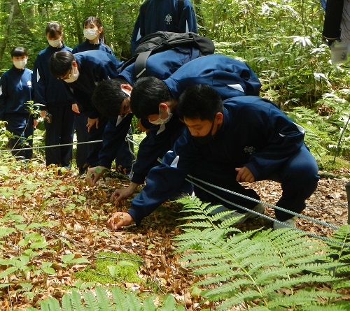 岳岱自然観察