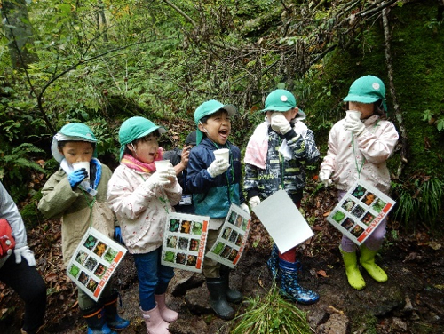 岳岱自然観察教育林たんけん