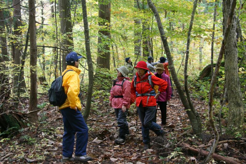 東北森林管理局 白神山地での自然観察会 研修会