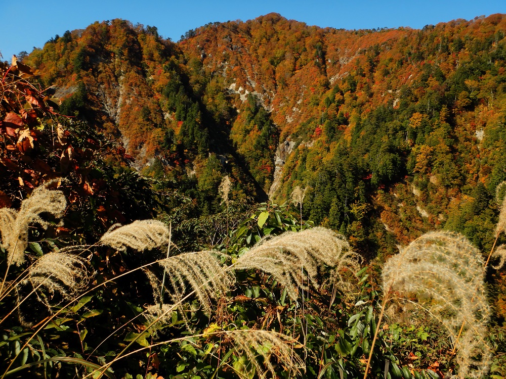 12_紅葉最盛期の釣瓶落峠。お勧めの時間帯は午前10～11時頃で、午後には大きな影ができてしまう。(2020.10.21)