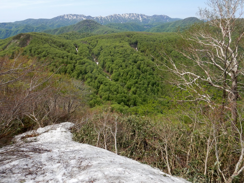 二ッ森山頂付近より向白神岳方面の眺望(2020.5.26)