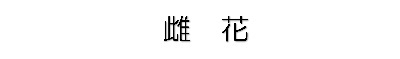 雌花(文字)