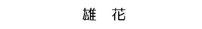 雄花(文字)