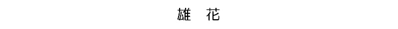 雄花(文字)