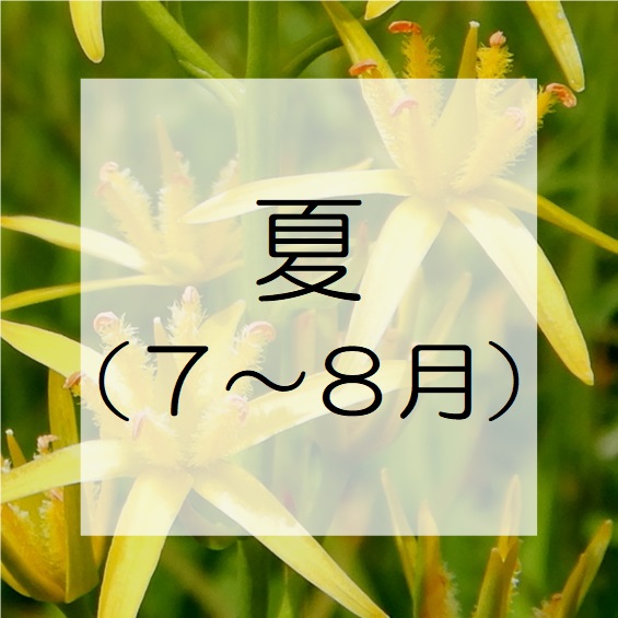 夏(7～8月)に花の咲く植物