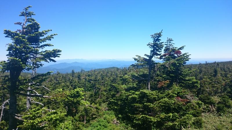 八幡平パト(自然維持タイプ)