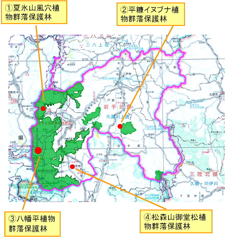 保護２