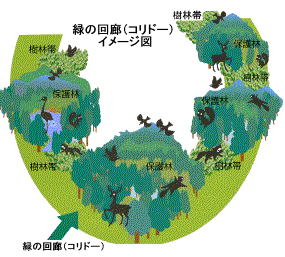 緑の回廊イメージ図