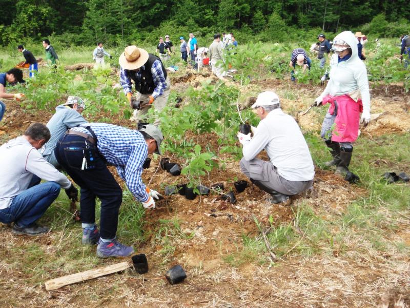 松尾鉱山跡地植樹活動(H26森びと)