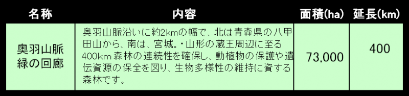 緑の回廊１