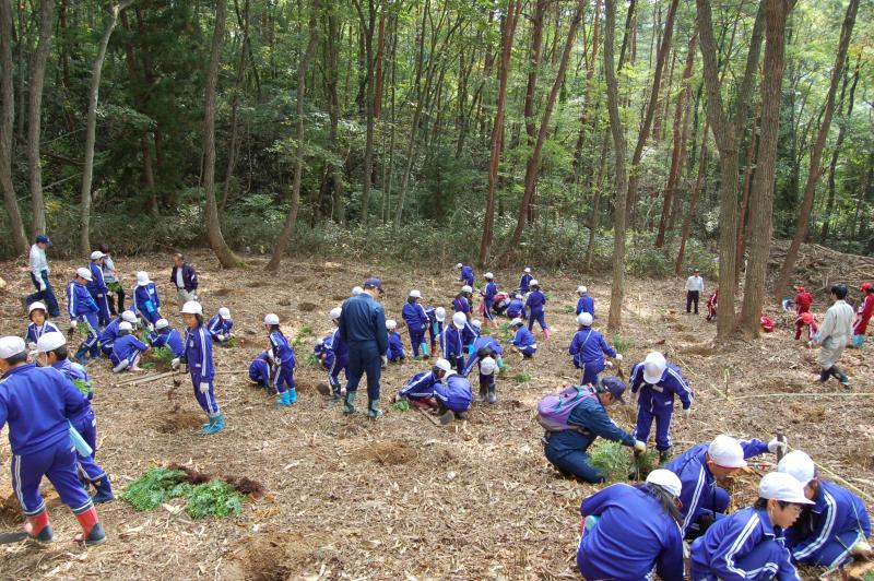 写真：記念植樹3