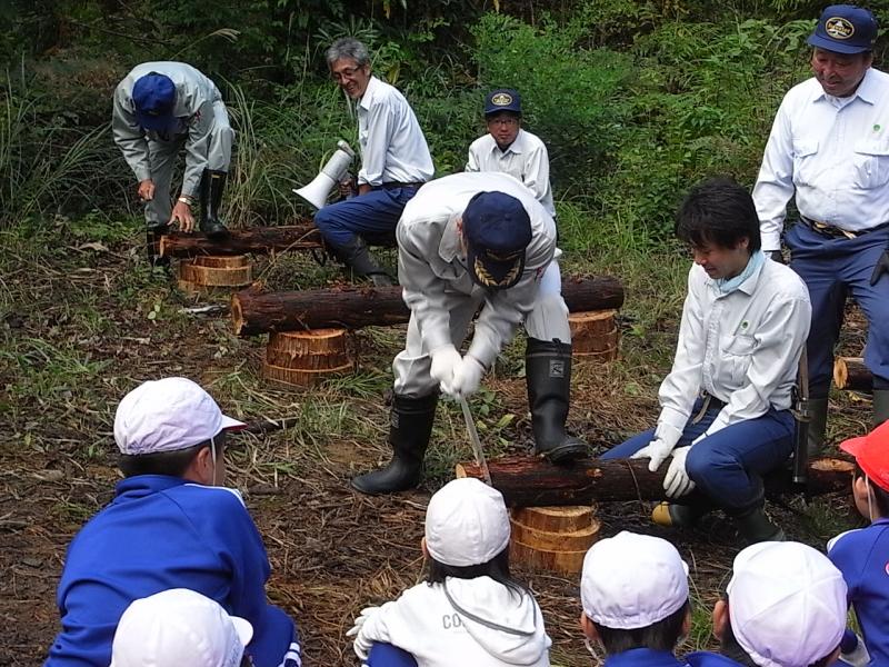 平泉町長の丸太切りの手本