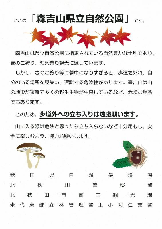 チラシ