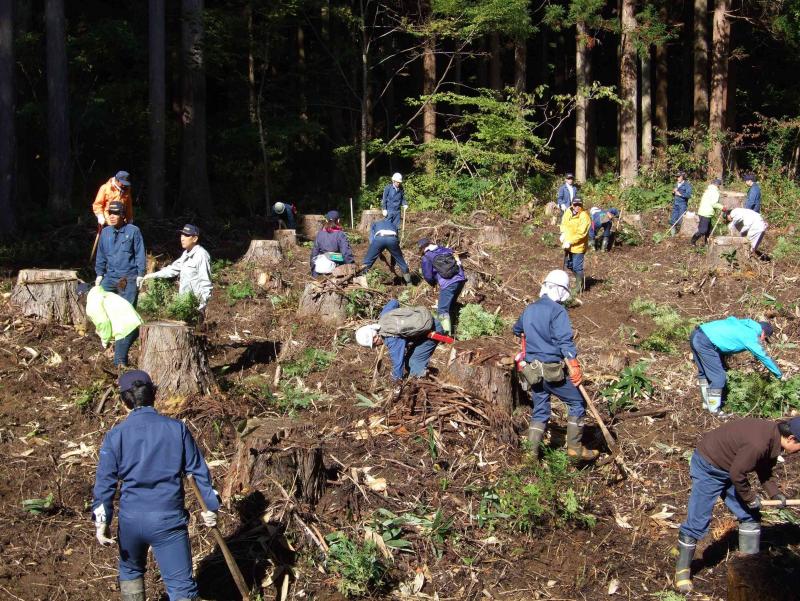 太田山国有林植樹会