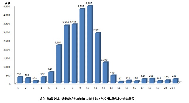 齢級別