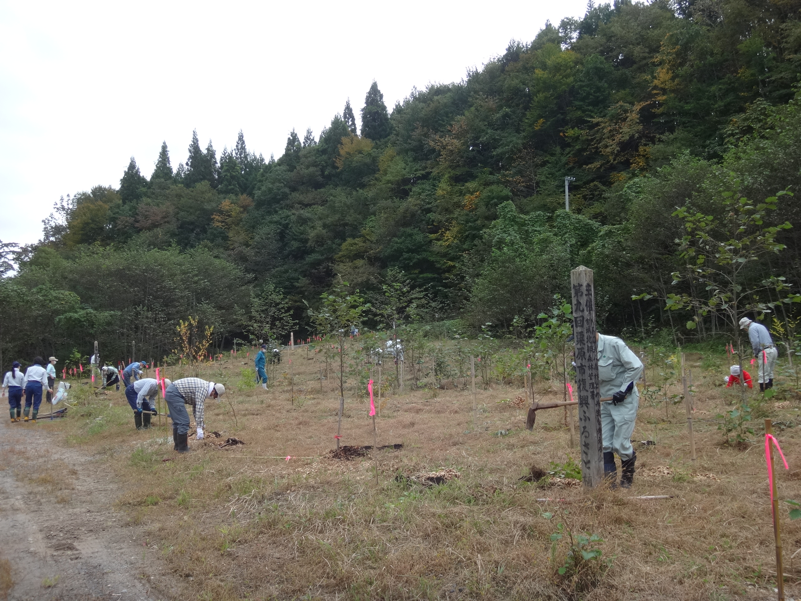 栗原市復興ふるさと植樹活動20221015