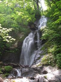 白猿の滝