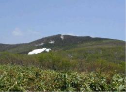 新緑の杢蔵山