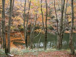 紅葉の与蔵沼風景林