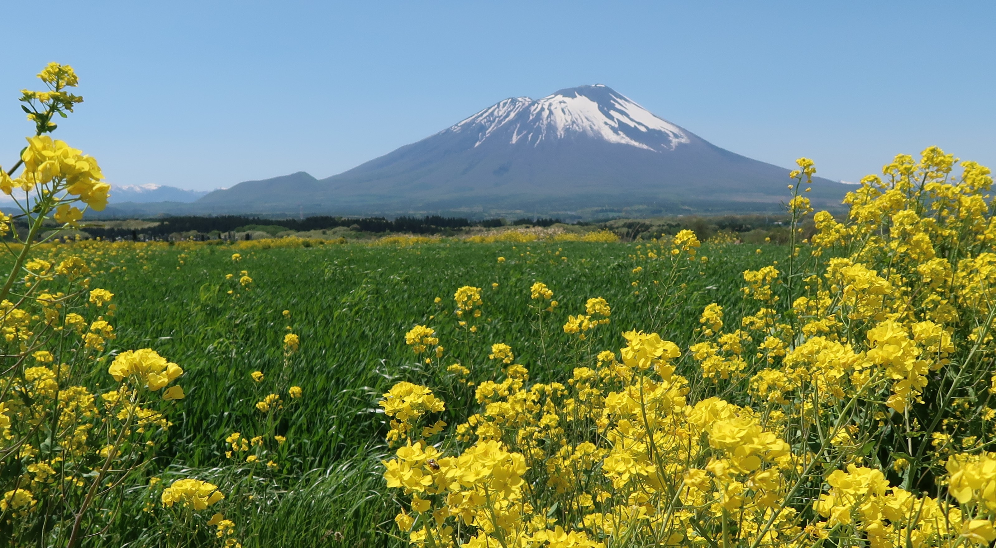 岩手山
