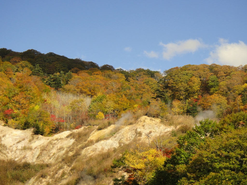 湯煙と紅葉